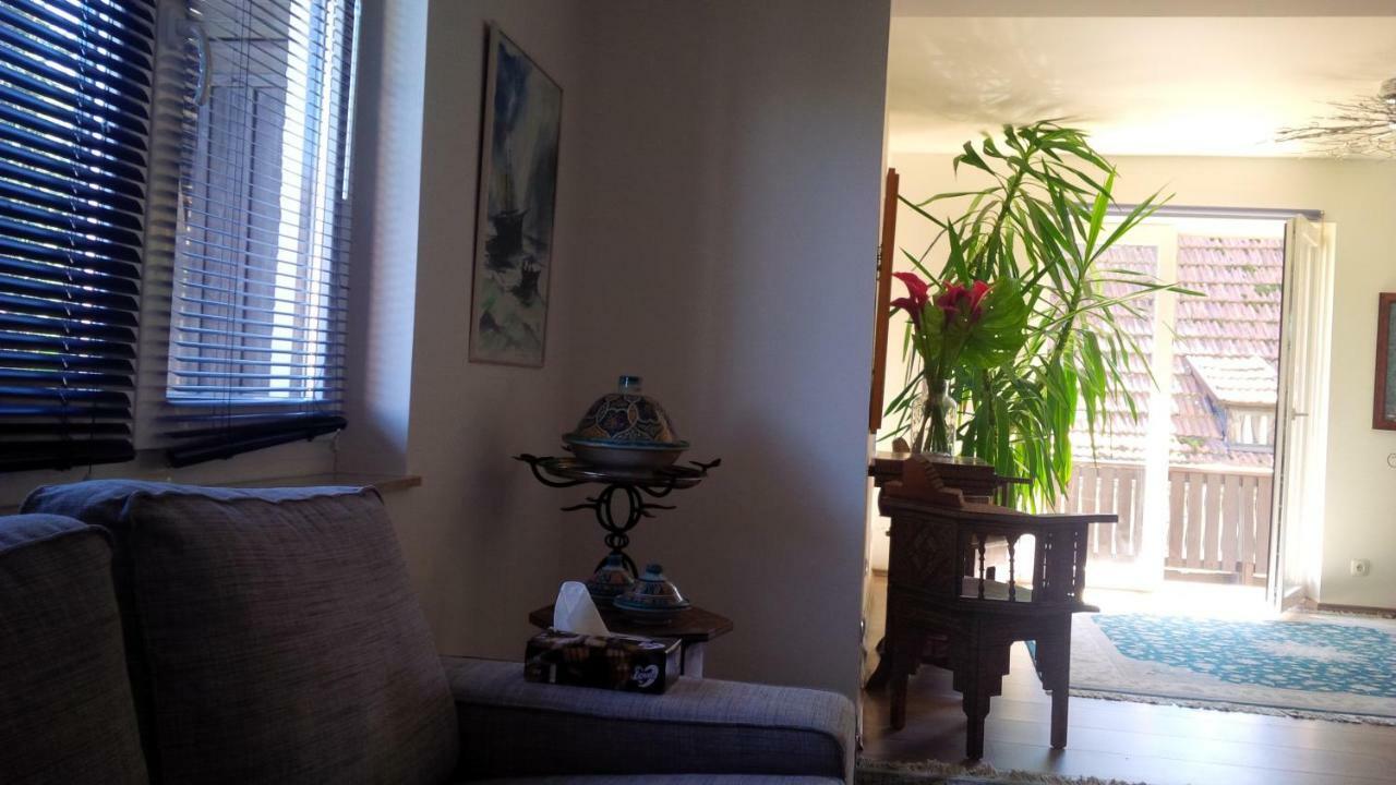 Bei Annerl Apartment Гмунден Екстериор снимка